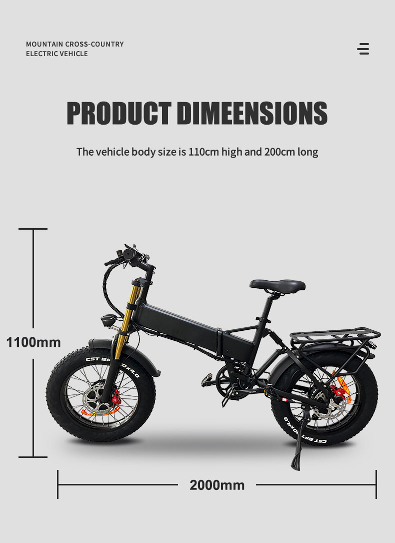 Electric Bike DGZC-78 750W 48V 20Ah 55kmh Details04