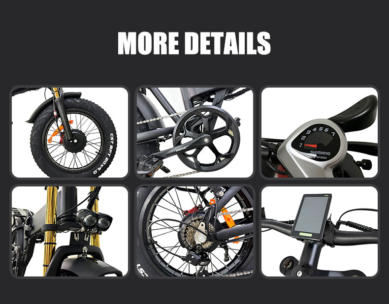 Electric Bike DGZC-78 750W 48V 20Ah 55kmh Details05