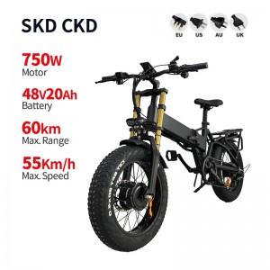 Electric Bike DGZC-78 750W 48V 20Ah 55km/h