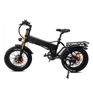 Electric Bike DGZC-78 750W 48V 20Ah 55km/h