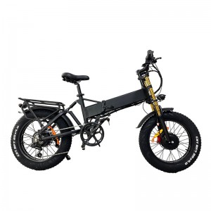 Electric Bike DGZC-78 750W 48V 20Ah 55km/h