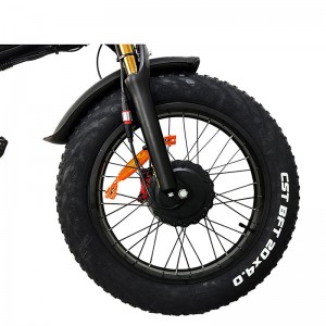 Electric Bike DGZC-78 750W 48V 20Ah 55km/h