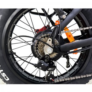 Electric Bike DGZC-78 750W 48V 20Ah 55km/h