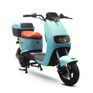 Electric Bike F6-F6 800W 60V 20Ah 40km/h