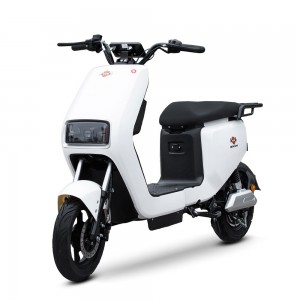 Electric Bike F6-F6 800W 60V 20Ah 40km/h