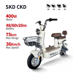 Electric Bike GB-31 400W 48V/60V 20Ah 36km/h