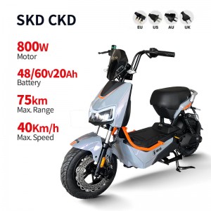 Electric Bike GB-33 800W 48V/60V 20Ah 40km/h