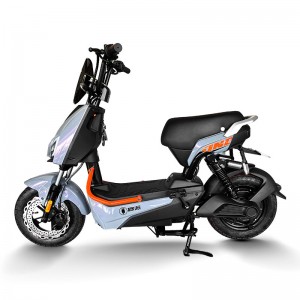 Electric Bike GB-33 800W 48V/60V 20Ah 40km/h