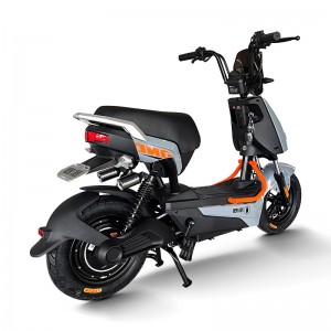 Electric Bike GB-33 800W 48V/60V 20Ah 40km/h