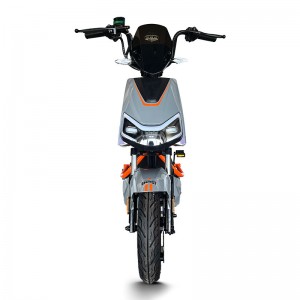 Electric Bike GB-33 800W 48V/60V 20Ah 40km/h