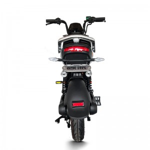 Electric Bike GB-33 800W 48V/60V 20Ah 40km/h