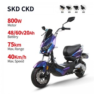 Electric Bike GB-34 800W 48V/60V 20Ah 40km/h