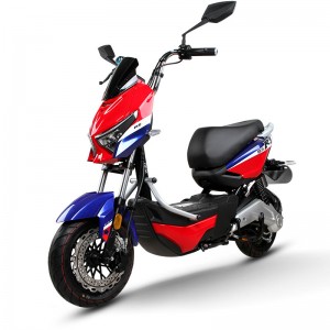 Electric Bike GB-34 800W 48V/60V 20Ah 40km/h