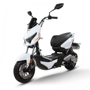 Electric Bike GB-34 800W 48V/60V 20Ah 40km/h