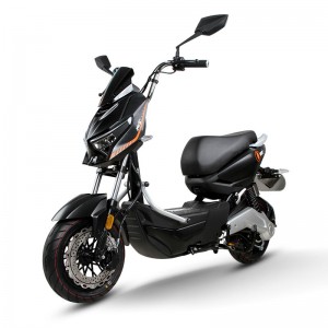 Electric Bike GB-34 800W 48V/60V 20Ah 40km/h