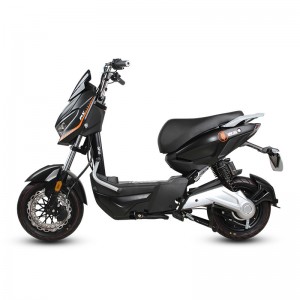 Electric Bike GB-34 800W 48V/60V 20Ah 40km/h