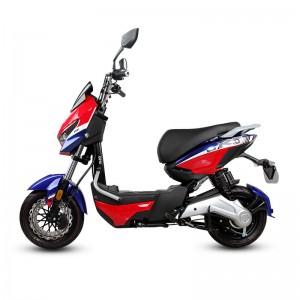 Electric Bike GB-34 800W 48V/60V 20Ah 40km/h