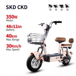 Electric Bike GB-56 350W 48V 12Ah 30km/h (Private Model)