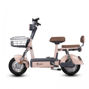 Electric Bike GB-56 350W 48V 12Ah 30km/h (Private Model)