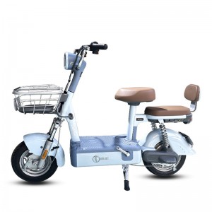 Electric Bike GB-56 350W 48V 12Ah 30km/h (Private Model)