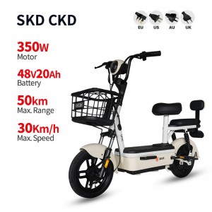 Electric Bike GB-60 350W 48V 20Ah 30km/h