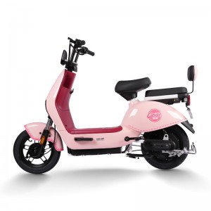 Electric Bike GB-63 400W 48V/60V 20Ah 35km/h