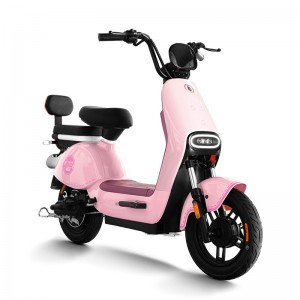 Electric Bike GB-63 400W 48V/60V 20Ah 35km/h