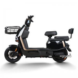 Electric Bike GB-65 800W 60V/72V 20Ah 40km/h