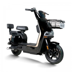 Electric Bike GB-65 800W 60V/72V 20Ah 40km/h