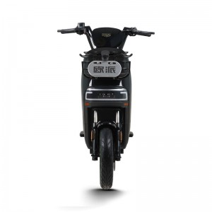 Electric Bike GB-65 800W 60V/72V 20Ah 40km/h