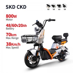 Electric Bike GB-66 800W 48V/60V 20Ah 38km/h