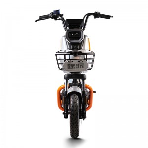 Electric Bike GB-66 800W 48V/60V 20Ah 38km/h