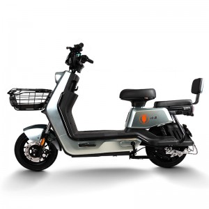 Electric Bike GB-67 800W 60V/72V 32Ah 40km/h