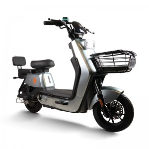 Electric Bike GB-67 800W 60V/72V 32Ah 40km/h