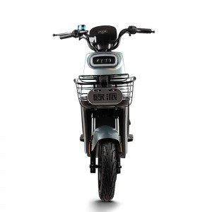 Electric Bike GB-67 800W 60V/72V 32Ah 40km/h