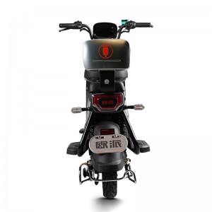 Electric Bike GB-67 800W 60V/72V 32Ah 40km/h