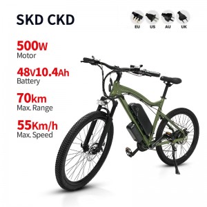 Electric Bike HL 500W 48V 10.4Ah 55km/h