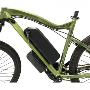 Electric Bike HL 500W 48V 10.4Ah 55km/h