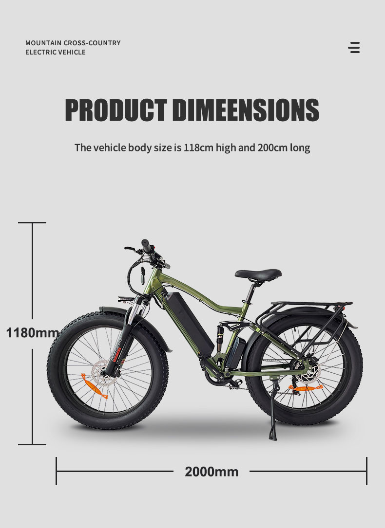 Electric Bike JY 1000W 48V 21Ah 55kmh Details04