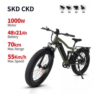 Electric Bike JY 1000W 48V 21Ah 55km/h