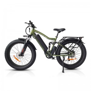 Electric Bike JY 1000W 48V 21Ah 55km/h