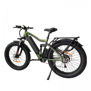 Electric Bike JY 1000W 48V 21Ah 55km/h