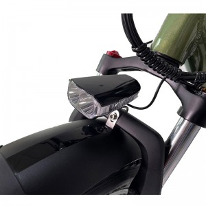 Electric Bike JY 1000W 48V 21Ah 55km/h