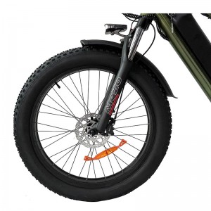 Electric Bike JY 1000W 48V 21Ah 55km/h