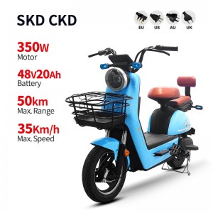 Electric Bike LZ 350W 48V 20Ah 35km/h