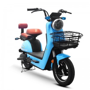 Electric Bike LZ 350W 48V 20Ah 35km/h