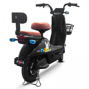 Electric Bike LZ 350W 48V 20Ah 35km/h