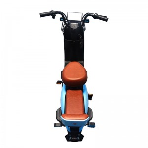 Electric Bike LZ 350W 48V 20Ah 35km/h