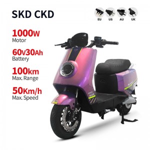 Electric Bike M8 1000W 60V 30Ah 50km/h