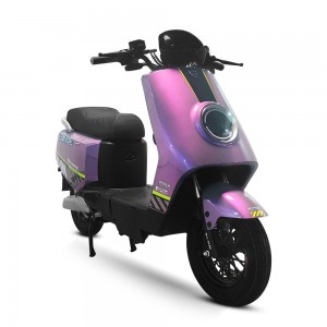 Electric Bike M8 1000W 60V 30Ah 50km/h